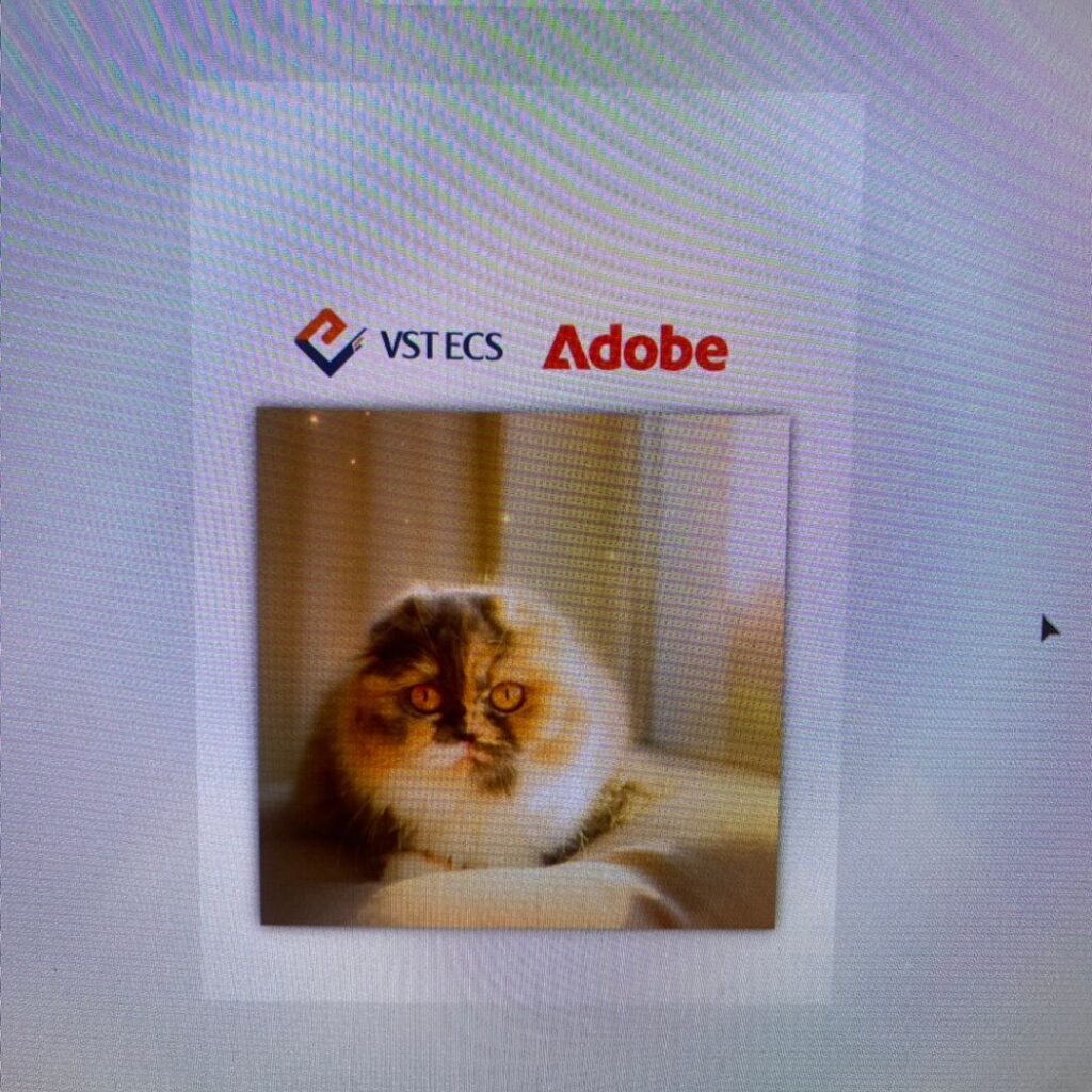 ออกแบบลายบนถุงผ้าด้วย Adobe Express